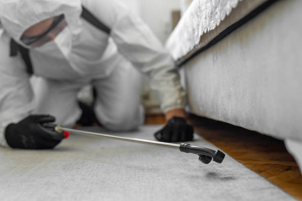 Professional Bed Bug Control technician working in Newnan, GA