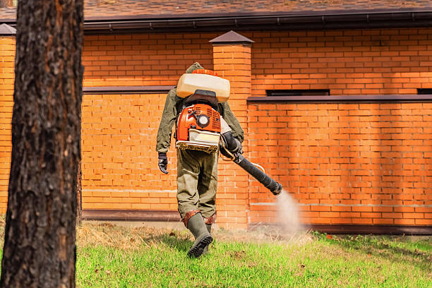 Top rated local Bed Bug Control specialists in Newnan, GA